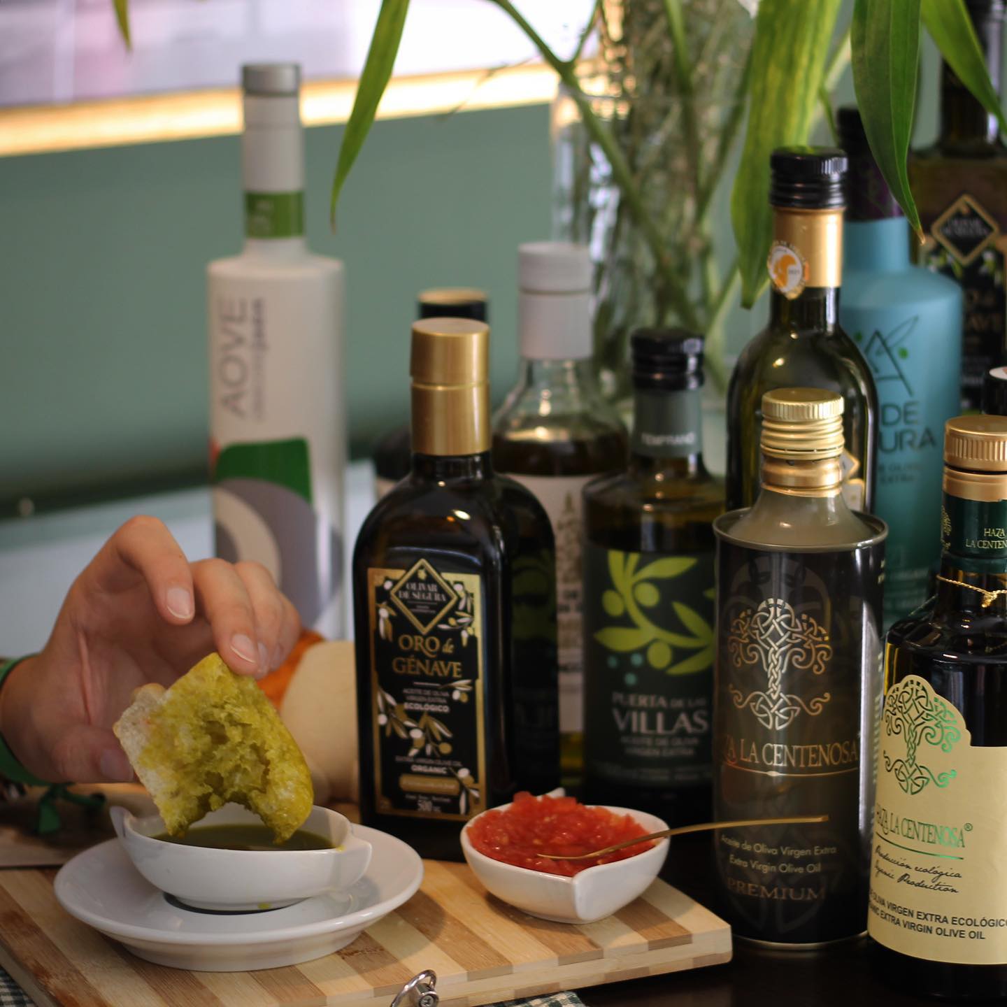 variedad de aoves